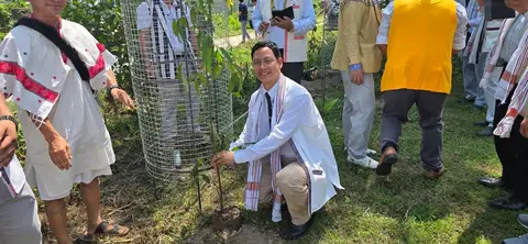 Plantation by GS NBCC